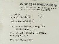 登錄號:F0012896藏品圖，第2張