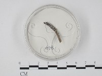 登錄號:F0012897藏品圖，第1張