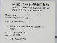 登錄號:F0012900藏品圖，第2張