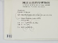 登錄號:F0012901藏品圖，第2張