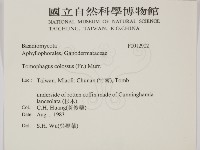 鬆芝藏品圖，第2張