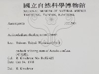 登錄號:F0012904藏品圖，第2張