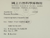 登錄號:F0012905藏品圖，第2張