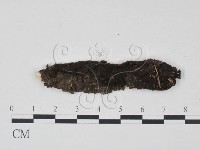 登錄號:F0012906藏品圖，第1張