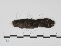 登錄號:F0012906藏品圖，第3張