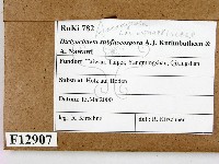 登錄號:F0012907藏品圖，第2張