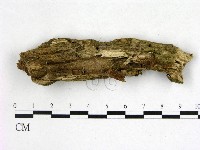 登錄號:F0012908藏品圖，第3張