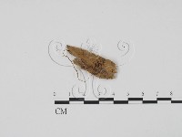 登錄號:F0012909藏品圖，第1張