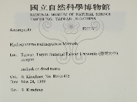 登錄號:F0012911藏品圖，第2張
