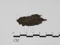 登錄號:F0012911藏品圖，第1張