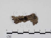 登錄號:F0012912藏品圖，第1張