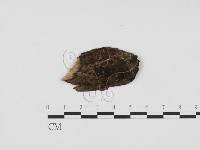 登錄號:F0012914藏品圖，第1張