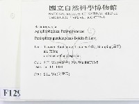 登錄號:F0012917藏品圖，第2張