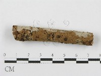 登錄號:F0012917藏品圖，第5張