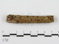 登錄號:F0012917藏品圖，第9張