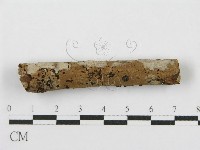 登錄號:F0012917藏品圖，第10張