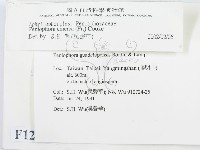 登錄號:F0012918藏品圖，第2張