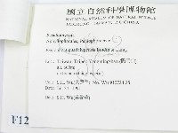 登錄號:F0012918藏品圖，第3張