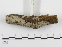 登錄號:F0012918藏品圖，第4張