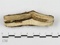 登錄號:F0012918藏品圖，第5張