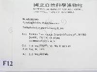 登錄號:F0012919藏品圖，第2張