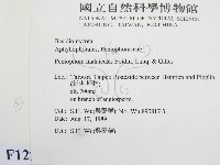 登錄號:F0012920藏品圖，第2張