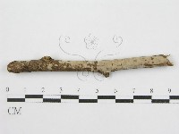 登錄號:F0012920藏品圖，第1張