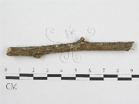 登錄號:F0012920藏品圖，第3張