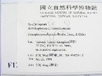 登錄號:F0012921藏品圖，第2張