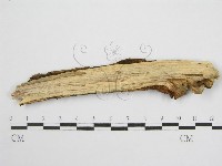 登錄號:F0012921藏品圖，第3張
