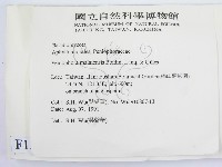 登錄號:F0012922藏品圖，第2張
