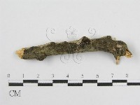 登錄號:F0012922藏品圖，第3張