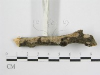 登錄號:F0012922藏品圖，第4張