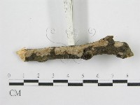 登錄號:F0012922藏品圖，第6張