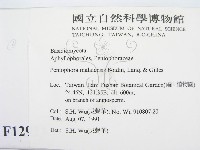 登錄號:F0012923藏品圖，第2張