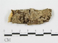 登錄號:F0012923藏品圖，第1張