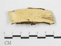 登錄號:F0012923藏品圖，第3張