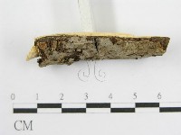 登錄號:F0012923藏品圖，第4張