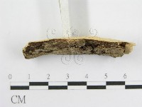 登錄號:F0012923藏品圖，第5張