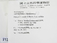 登錄號:F0012924藏品圖，第2張