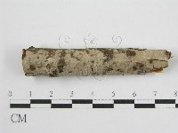 登錄號:F0012924藏品圖，第1張
