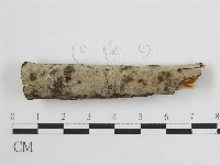 登錄號:F0012924藏品圖，第3張
