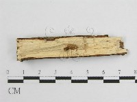 登錄號:F0012924藏品圖，第4張