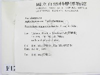 登錄號:F0012925藏品圖，第2張