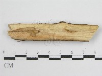登錄號:F0012925藏品圖，第3張