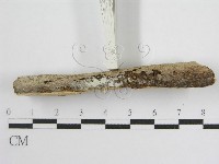 登錄號:F0012925藏品圖，第4張