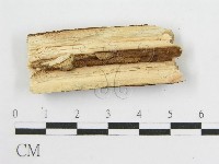 登錄號:F0012927藏品圖，第3張