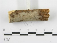 登錄號:F0012927藏品圖，第4張