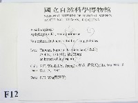 登錄號:F0012928藏品圖，第2張