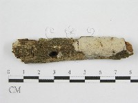 登錄號:F0012928藏品圖，第1張